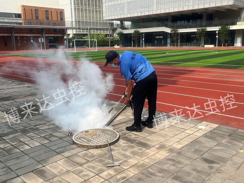 深圳消殺公司：2022年秋季開(kāi)學(xué)，各中小學(xué)幼學(xué)校加強(qiáng)病媒生物防治工作