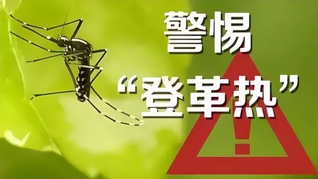 深圳消殺公司：多國(guó)登革熱病例數(shù)上升，海關(guān)總署發(fā)布公告