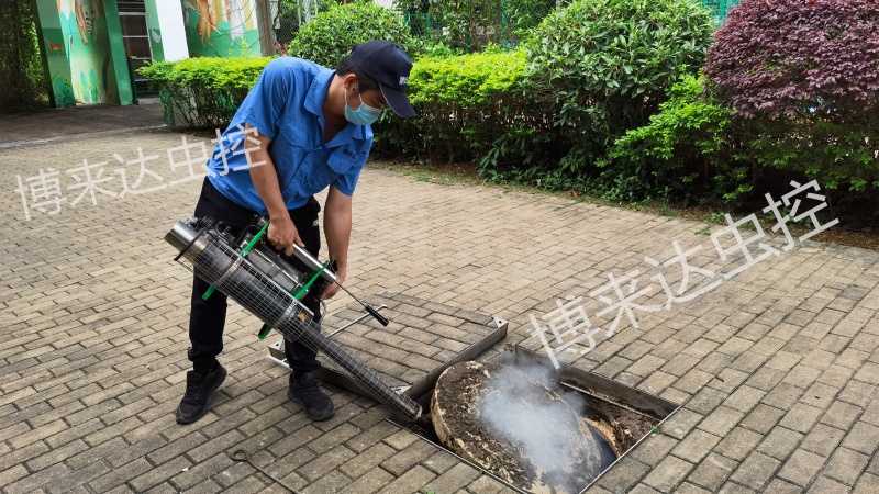 深圳消殺公司：預(yù)防蟑螂孳生其實(shí)很簡(jiǎn)單